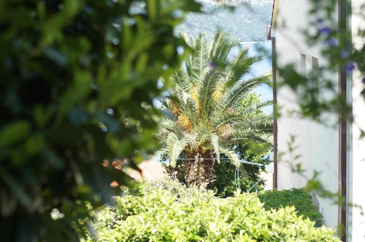 Oasis Blue Appartement Korčula Buitenkant foto